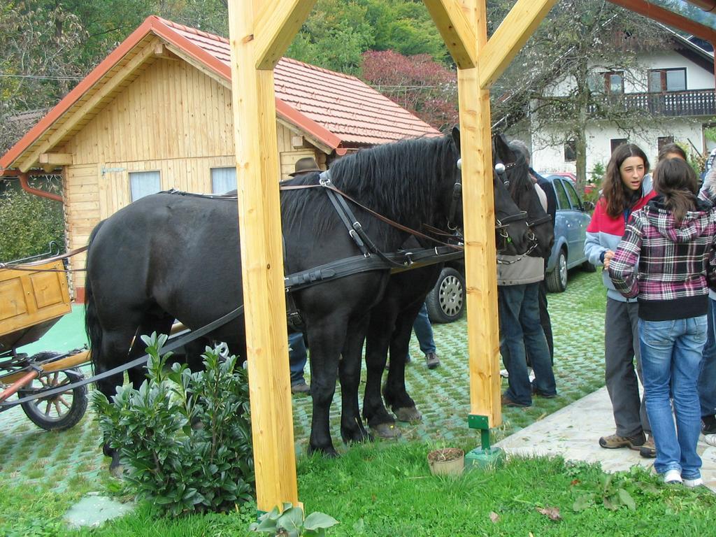 Sunny Holiday House B&B Ljubno 외부 사진