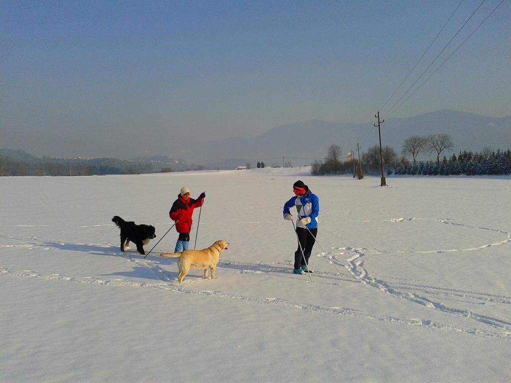 Sunny Holiday House B&B Ljubno 외부 사진