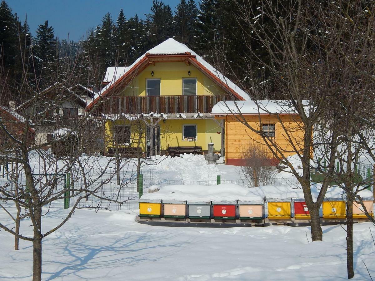 Sunny Holiday House B&B Ljubno 외부 사진